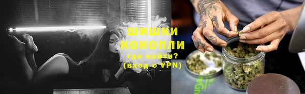 стафф Аркадак