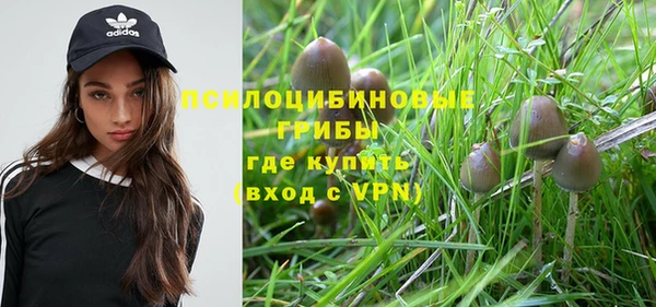 стафф Аркадак