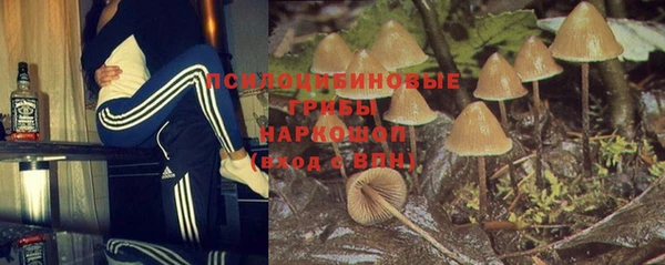 стафф Аркадак